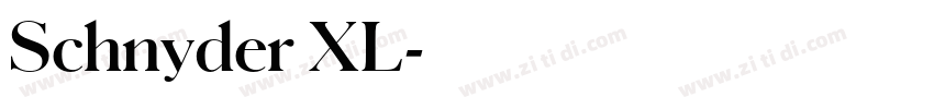 Schnyder XL字体转换